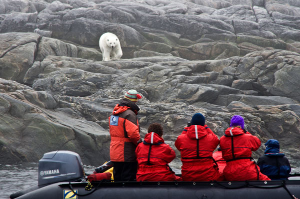 Make sure photographers don't become polar bear snacks... Jimmy Thomson
