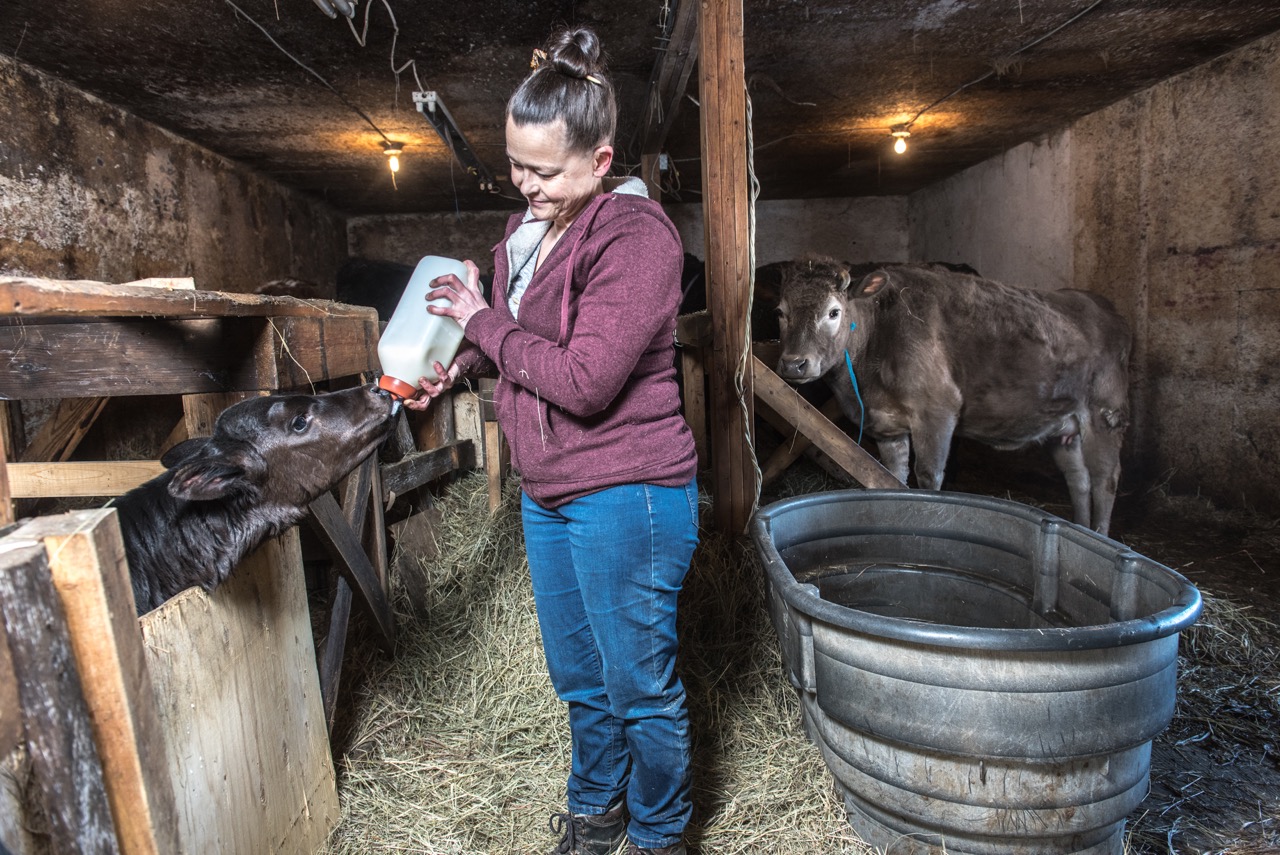 Jen Sadlier feeds a calf on her farm. Cathie Archbould