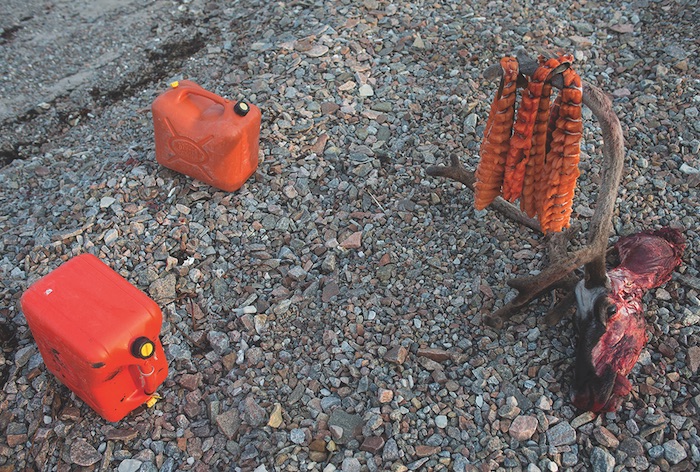Jerry cans and a caribou head (with drying Arctic Char) at a base camp in Naujaat, NU.
