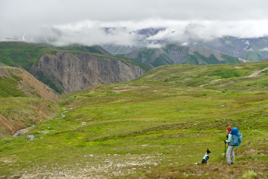 Alpine hiking