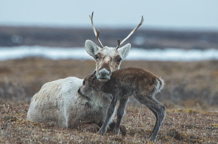 PHOTO BY PETER MATHER