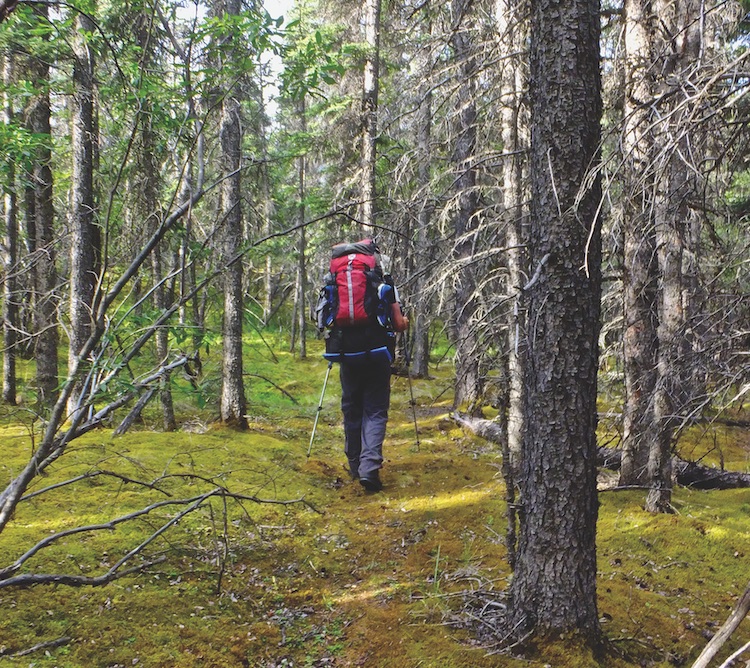 Photo by Anna Tupakka