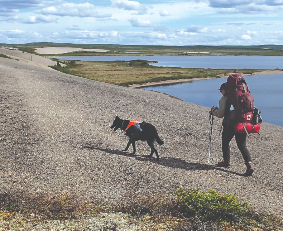 Schnurr and her "Northern Special" Nellie follow Canada's longest esker.