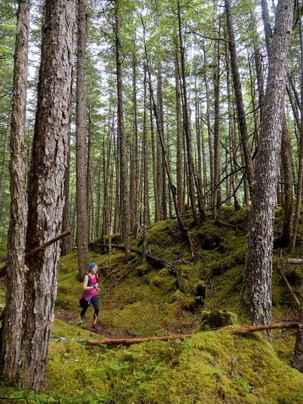 A run through the coastal rainforest will leave your shoes soaking wet.