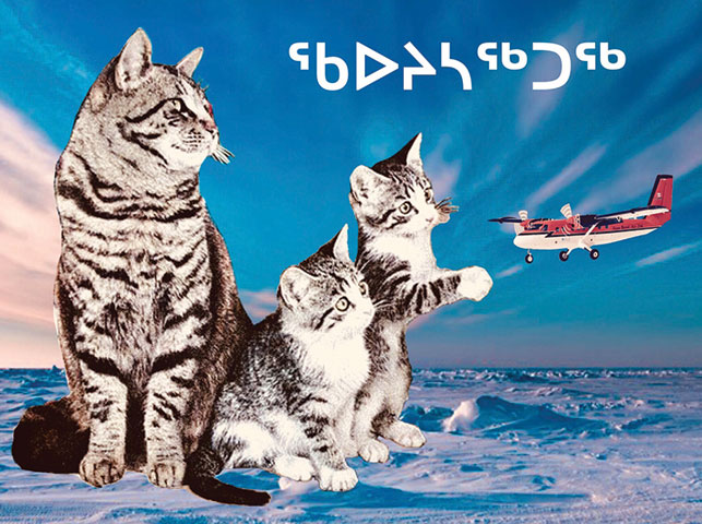 Image by Inuktitut Ilinniaqta