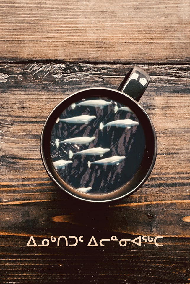 Image by Inuktitut Ilinniaqta