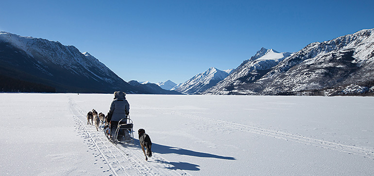 Dogsledding on a frozen lake with Yukon Winter Adventures
