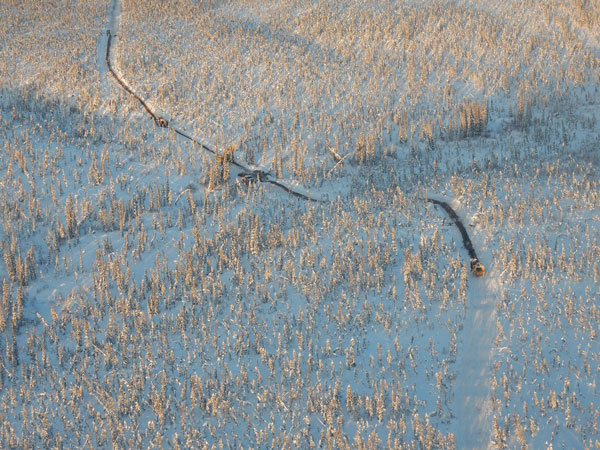 In the trenches: Crews cut a trench to bury a section of the Mackenzie Valley Fibre Line. COURTESY LEDCOR