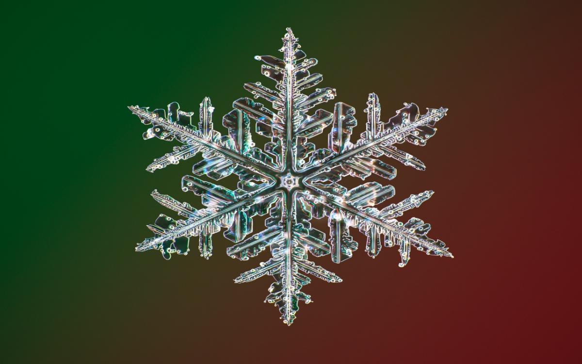 Snowflake up-close