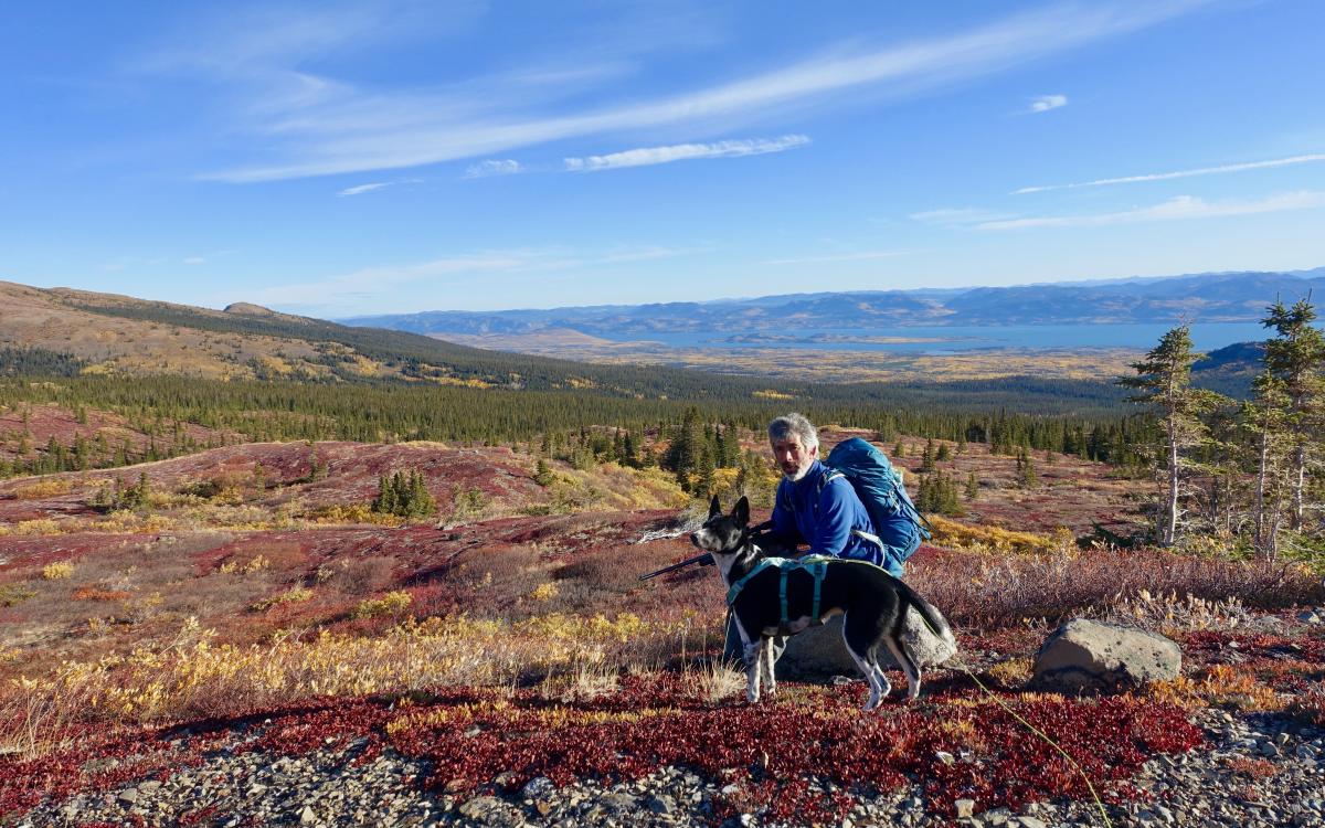 Looking for grouse in the fall