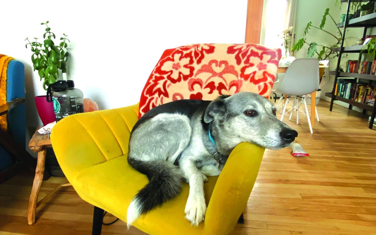 Photo courtesy Amy Kenny