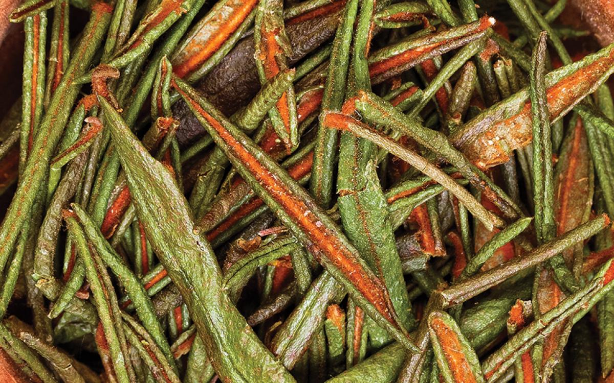 Labrador tea, steeped, is high in vitamin C and a good relaxant.