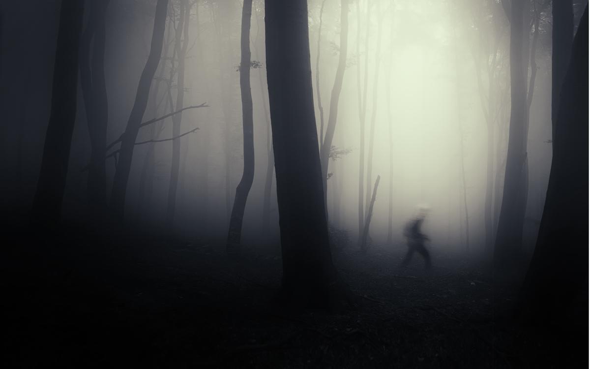 Image: Shutterstock