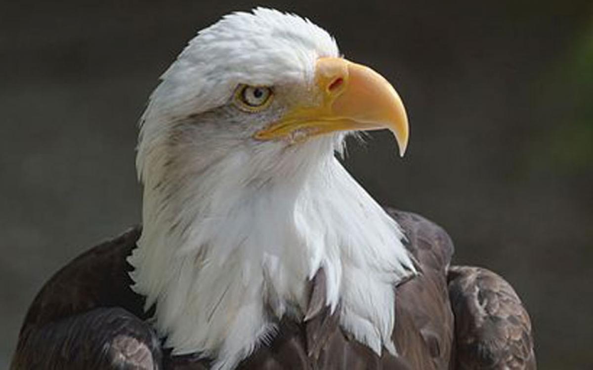 Photo by Lewis Hulbert