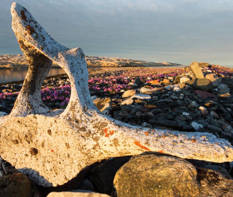 The Curse Of Marble Island Up Here Publishing