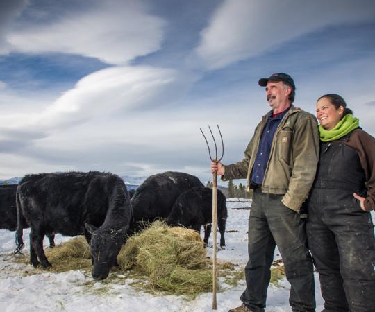 Made in the Yukon: Hay is a big cash crop in the Yukon; local producers can compete with southern farms because they don't have to pay major transport costs. Photo by Cathie Archbould