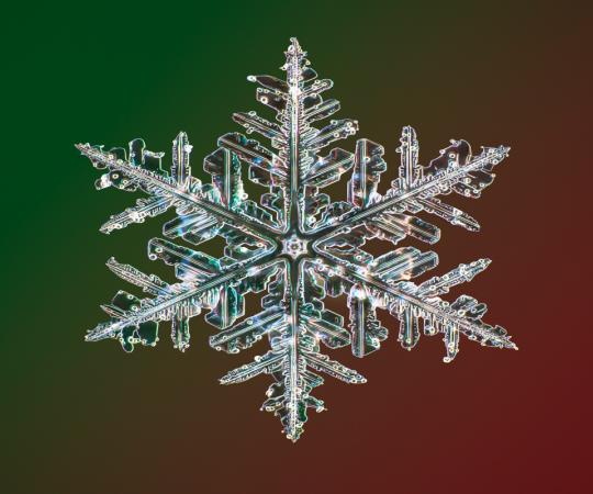 Snowflake up-close