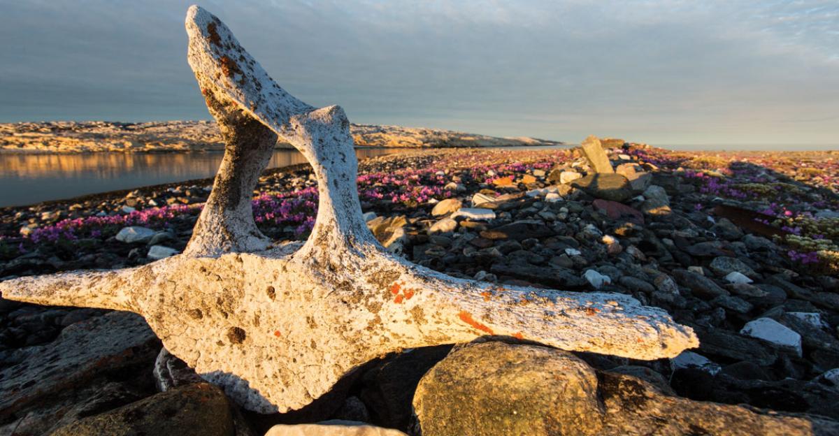 The Curse Of Marble Island Up Here Publishing