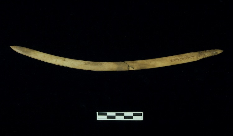 The spear tool features a carved design resembling a double helix. COURTESY CHAMPAGNE AND AISHIHIK FIRST NATIONS