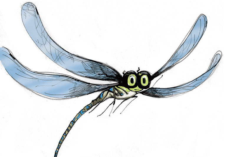 Illustration by Tonia Cowan